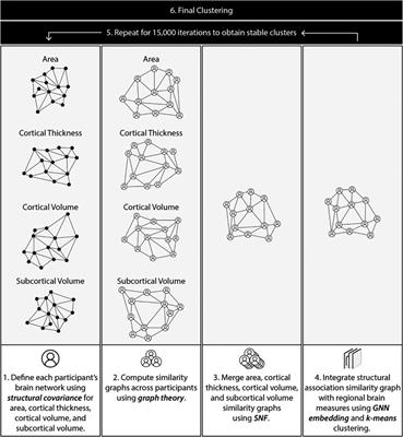Investigating heterogeneity across autism, ADHD, and typical development using measures of cortical thickness, surface area, cortical/subcortical volume, and structural covariance